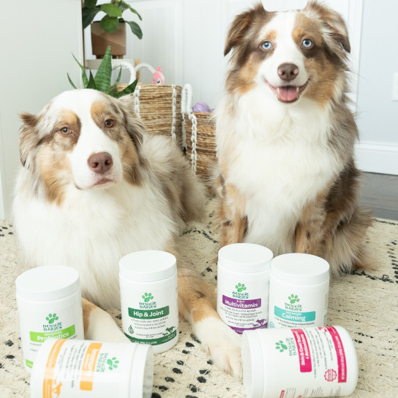 Australian Shepherds with Doggie Dailies Supplements