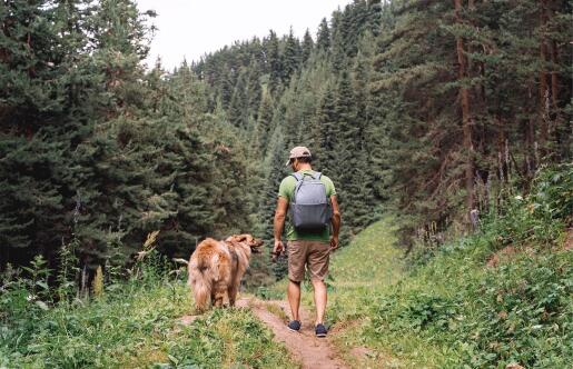 Man walking in forest with golden retriever