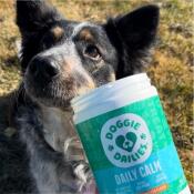 Dog with daily calm doggie dailies treats