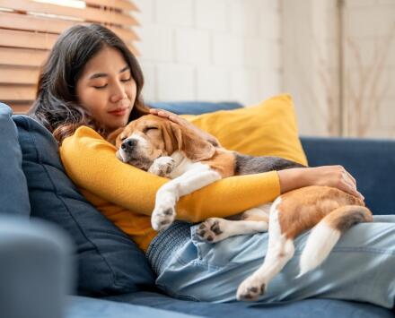 woman cuddling beagle on couch