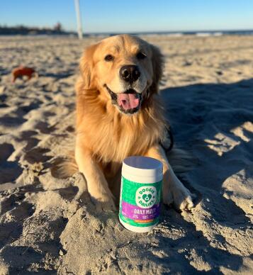 Doggie Dailies 5 in 1 Multivitamin