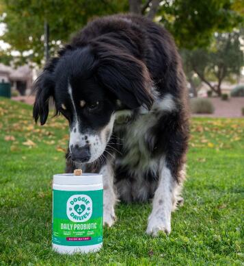 Doggie Dailies advanced Probiotics for Dogs