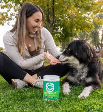 woman giving chews to husky